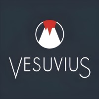 VESUVIUS SERT logo - Similar company to Vesuvius Ghlin