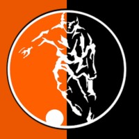 Voetbalvereniging Oudehaske logo - Similar company to Ijvl