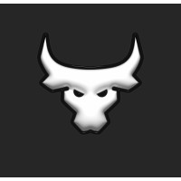 Bullish Media logo - Similar company to Synova Creatives