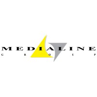 Medialine Group - Web Agency & SEO logo - Similar company to Ndv International