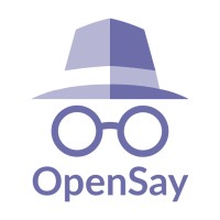 OpenSay logo - Similar company to Eyetech.Il