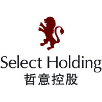 Select Holding Limited logo - Similar company to Jelo Strategy