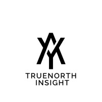 TrueNorth Insight logo - Similar company to Market Navigators Experts