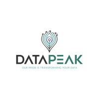 DataPeak logo - Similar company to Fsphub