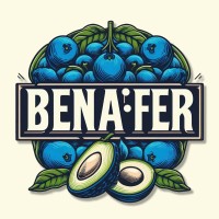 Benafer logo - Similar company to Geoland