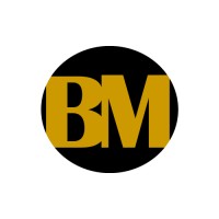 BM CONSULTING logo - Similar company to Exopreneurs
