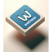 webness logo - Similar company to Digital Exp