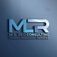 M. L. Reo Consulting LLC