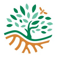 Sand to Green logo - Similar company to Dibeen.Com