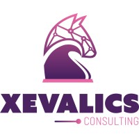 Xevalics Consulting logo - Similar company to Clinaudits, Llc