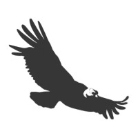 Cóndor logo - Similar company to Centro De Inteligencia Artificial Aplicada