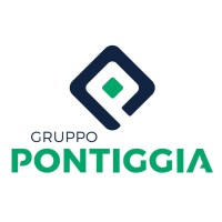 Gruppo Pontiggia logo - Similar company to Insafe S.R.L.