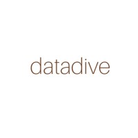 Datadive logo - Similar company to Datadive