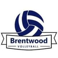 Brentwood Volleyball Club logo - Similar company to Wf Drivers Club