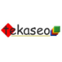 Tekaseo - Digital Marketing Training & Digital MarketingServices Nagpur logo - Similar company to Bni Nagpur