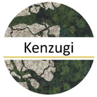 Kenzugi logo - Similar company to Abacus Wealth Management, Kenya