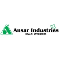 Ansar Industries logo - Similar company to Almechan Technology Systems