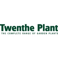 Twenthe Plant B.V. logo - Similar company to Baum & Bonheur