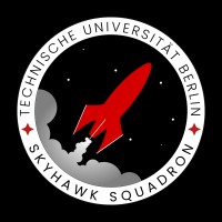 SkyHawk Squadron logo - Similar company to Indobionics