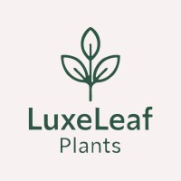 Luxe Leaf Plants logo - Similar company to All Occasions Florists