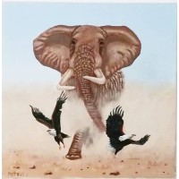 Elephant & Eagles Ltd logo - Similar company to Approach Services