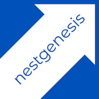 Nestgenesis Llc