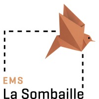 EMS La Sombaille logo - Similar company to Fondation Alfaset