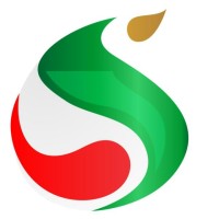 Somethingfy Marketing Solutions logo - Similar company to Learntor Foundation