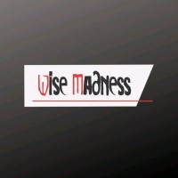 Wise Madness logo - Similar company to Wisemadness