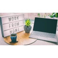 Work From Home logo - Similar company to Women Development Association