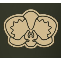 Xuni logo - Similar company to Monja