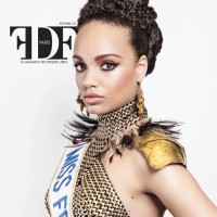 FDF Paris Magazine logo - Similar company to Arty Paris