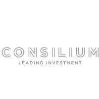 Consilium Holdings logo - Similar company to Redsparrow Real Estate Development & Consulting