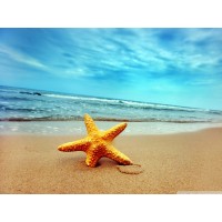 Travel Amigo logo - Similar company to Tripboutiq