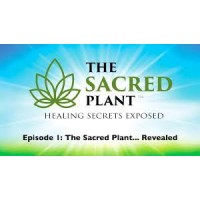 The Sacred Plant logo - Similar company to Cause Fulfilled