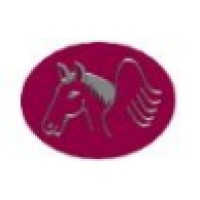Pegasus Consulting Support logo - Similar company to Nomad Bean Coffee