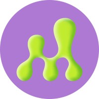 Maineva logo - Similar company to Hashtech