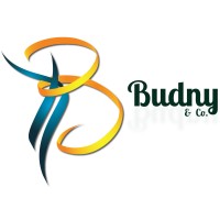 Budny & Co logo - Similar company to Dematec Vision