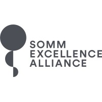 SOMM Alliance logo - Similar company to X + B.I Consulting
