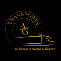 Transports AG logo - Similar company to Swiftwing