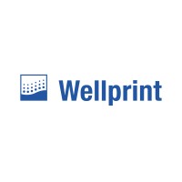 Wellprint GmbH & Co. KG logo - Similar company to Dejo-Media