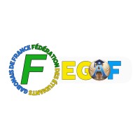FEGAF - Fédération des Étudiants Gabonais en France logo - Similar company to Black History Arts