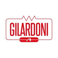 Gilardoni X-ray and Ultrasounds logo - Similar company to Cemb S.P.A.
