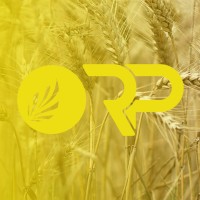 Rural Professionals Limited logo - Similar company to Get Me Moving