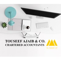Touseef Ajaib & Co. Chartered Accountants logo - Similar company to Bytesparkles