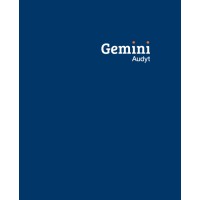 Gemini Audyt logo - Similar company to Bpg Polska Audyt