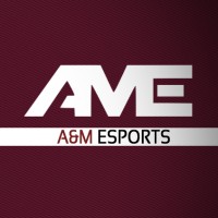 Texas A&M Esports logo - Similar company to H R M I