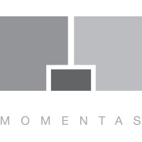 Momentas, Inc. logo - Similar company to Scandic Builders
