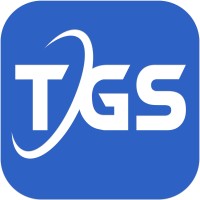Telegenisys logo - Similar company to Rd Info Solutions