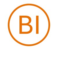 Baizdon Intelligence logo - Similar company to Sculptor Cpq For Salesforce